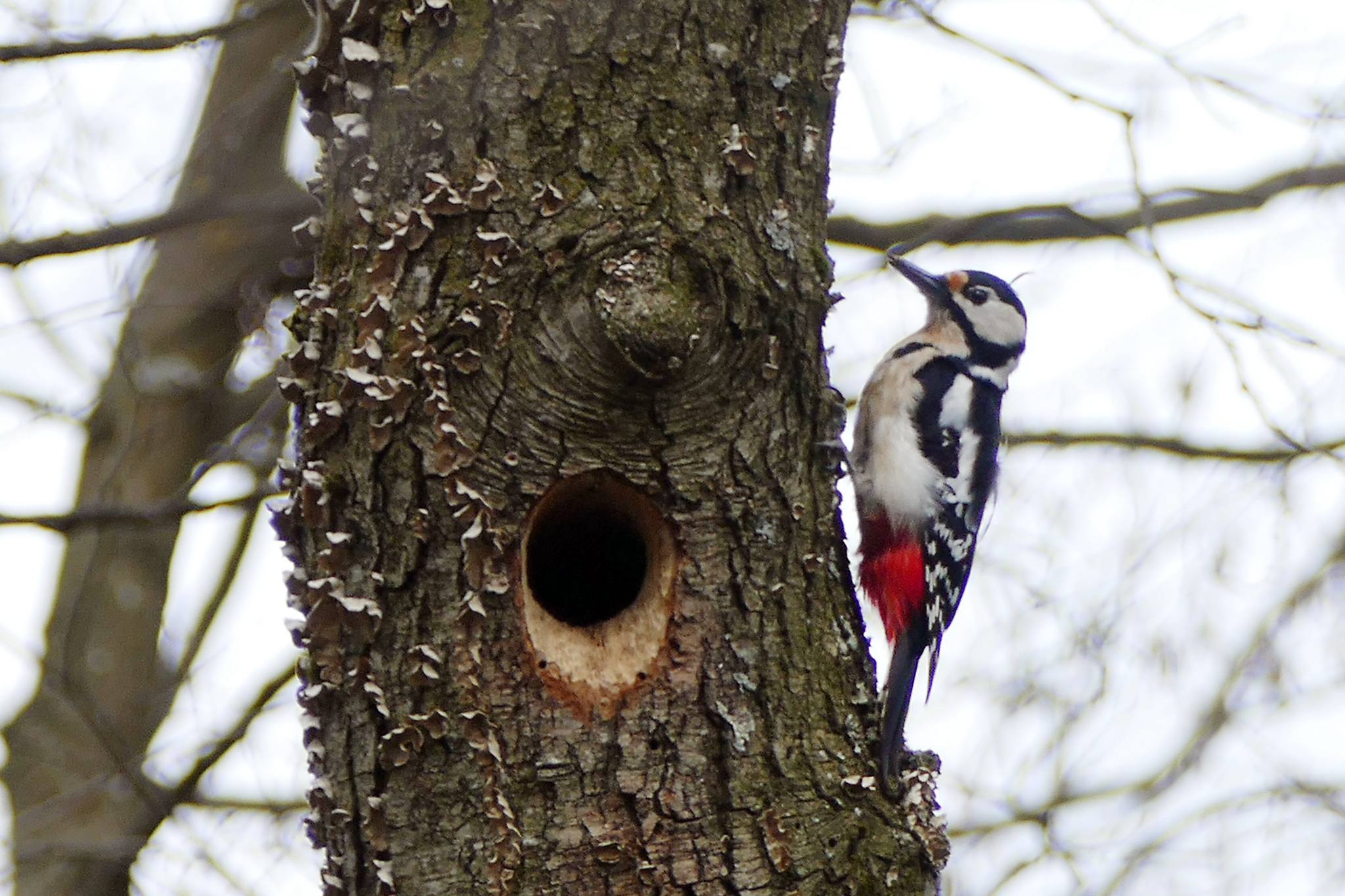 NaTour Bird Watching