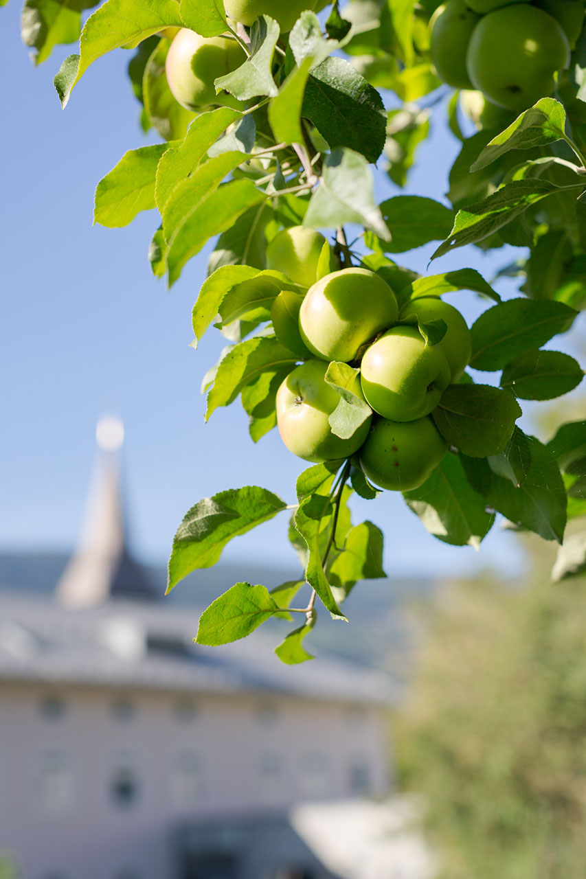 Naturgarten Schlosswirt Ossiach